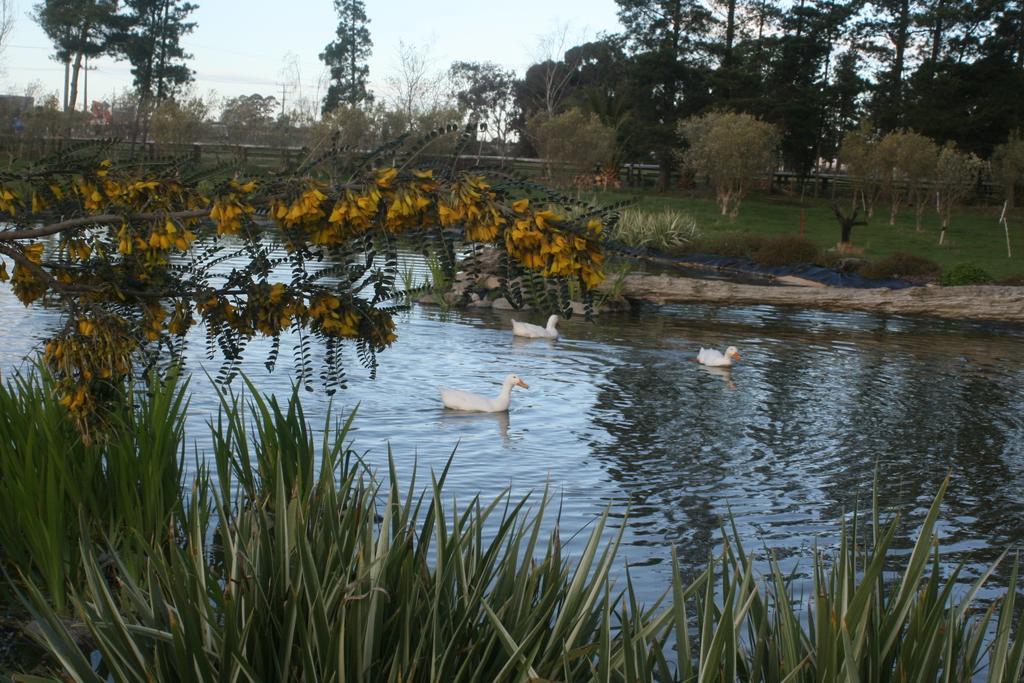 The Peppertree Luxury Accommodation Blenheim Extérieur photo